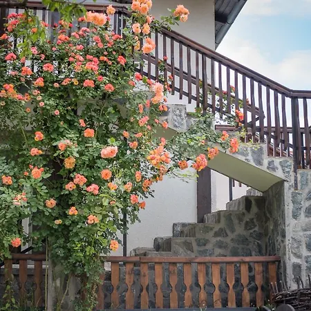 Via Guest house
