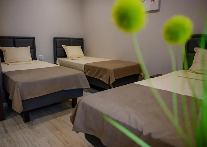 Via Konukevi Sapareva Banya